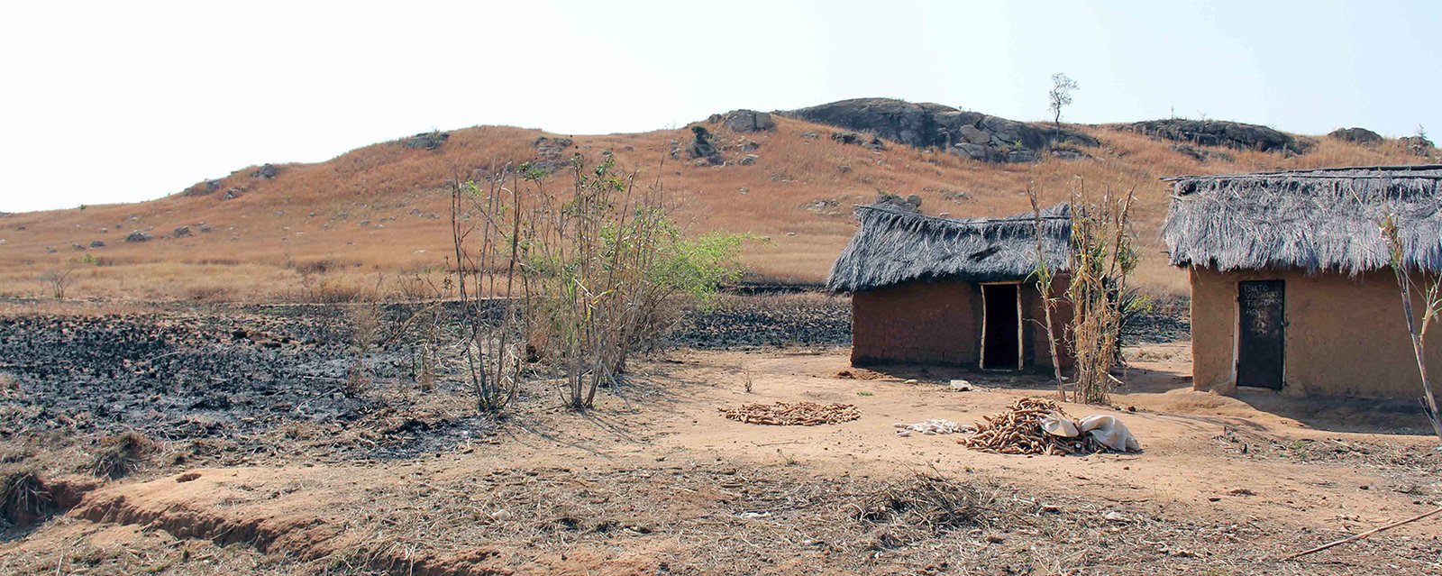 Häuser eines Dorfes im Süden in trockener Savanne