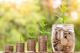 Spenden tragen Früchte Bild symbolisiert, dass je mehr Geld gespendet wird, desto größer das Pflänzlein, das daraus wachsen kann