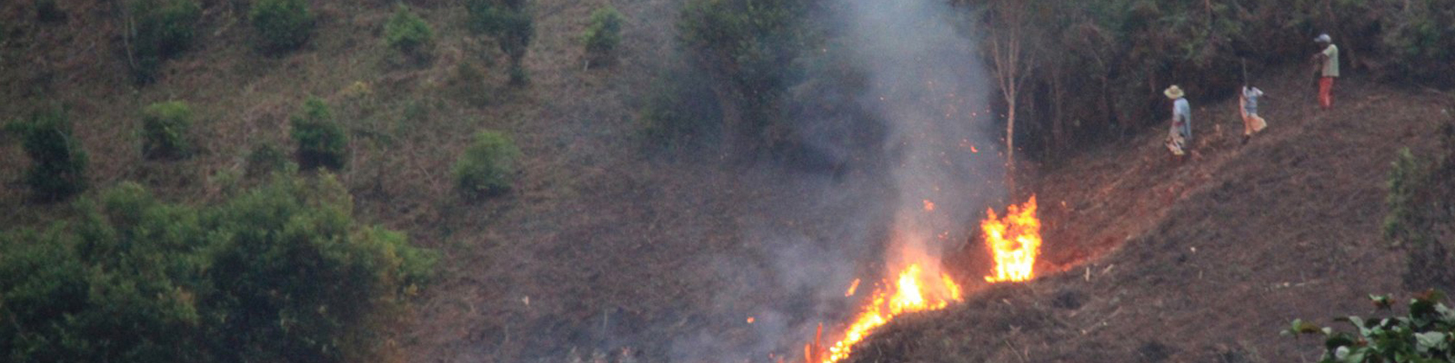 Bauern brennen Wald ab, um Landwirtschaftsflächen zu gewinnen
